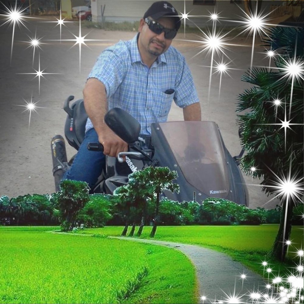 Meet your Posher, Delfino